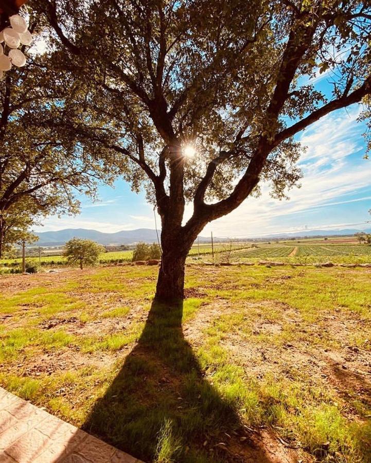 When In Maremma Apartment Alberese Bagian luar foto