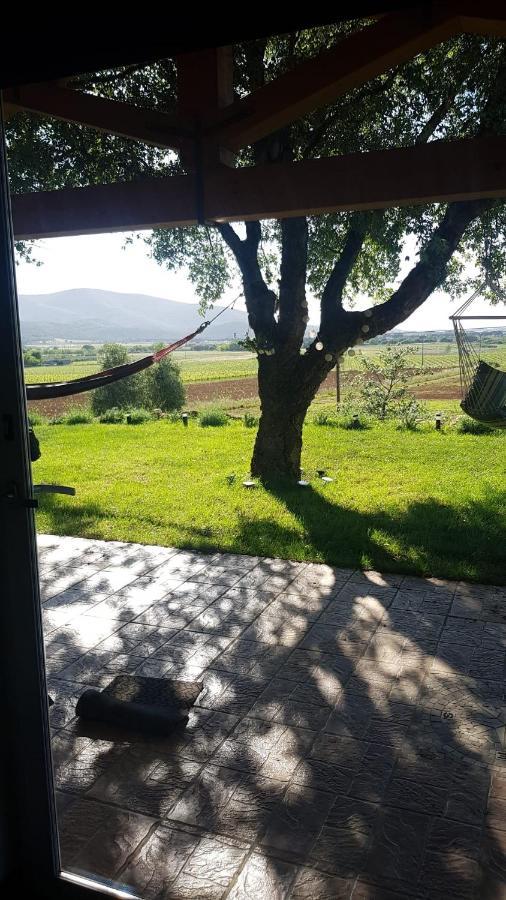 When In Maremma Apartment Alberese Bagian luar foto